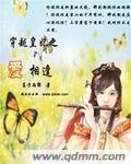 穿越皇妃之愛相逢