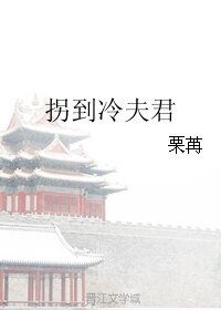 拐到冷夫君