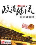 重生之政蹈風流