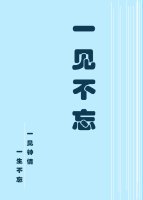 一見不忘