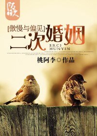 (傲慢與偏見同人)二次婚姻