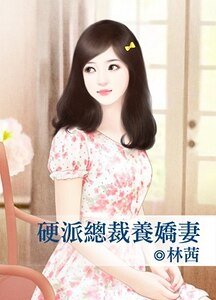 瓷派總裁養哈妻