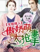 寵婚撩人:傲嬌萌妻太搶手
