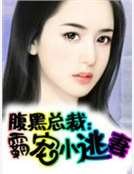 税黑總裁:霸寵小逃妻