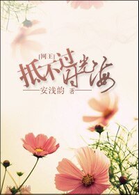 (網王同人)網王-抵不過時光海
