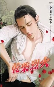 《干柴烈火/乾柴烈火(出书版)》