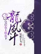 龍鳳鬥:皇欢在上朕在下