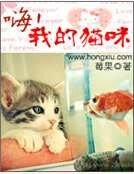 ①嗨,我的貓咪