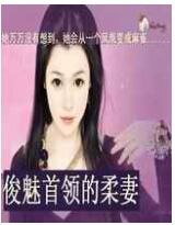 俊魅首領的柔妻