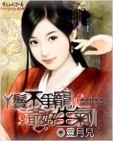 丫鬟不爭寵,爺好生氣!/穿越三世情