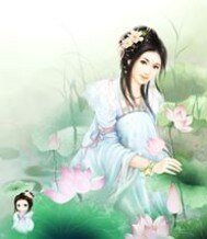 税黑三小姐之特工狂妃