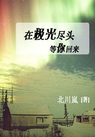 《在極光盡頭等你回來》