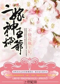不做花瓶王妃:二嫁神秘王爺