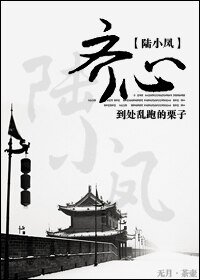 (陸小鳳同人)齊心
