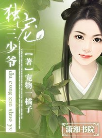 《獨寵三少爺》