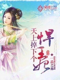 天上掉下個悍王妃