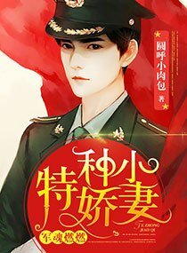 少帥燃情:吾妻很美