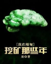 我在緬甸挖礦那些年