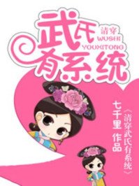 清穿武氏有系統