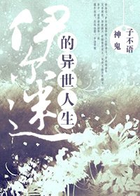 (BL/獵人同人)伊爾迷的異世人生