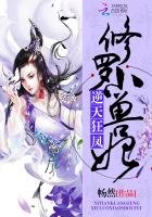 逆天狂鳳:修羅小獸妃