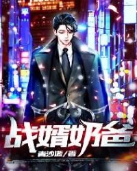 戰婿奶爸