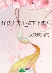 (紅樓夢同人)紅樓之天上掉下個傻兒子