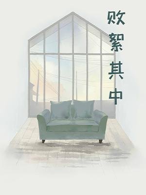 敗絮其中