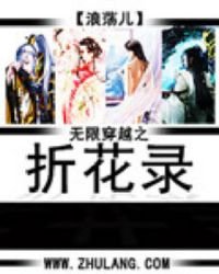《无限穿越之折花录》