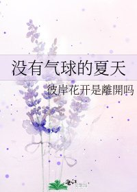 沒有氣球的夏天