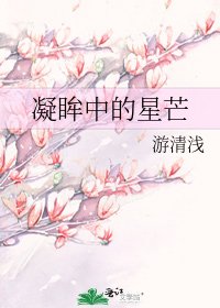 《凝眸中的星芒》