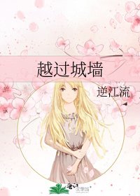 《越過城牆》
