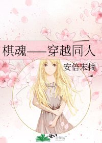 棋魂——穿越同人