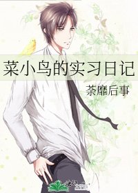 菜小鳥的實習日記