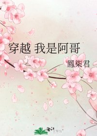 《穿越 我是阿哥》