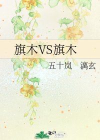旗木VS旗木
