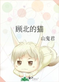 顧北的貓