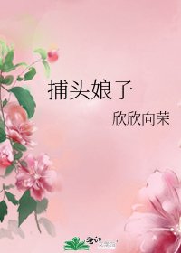 捕頭娘子