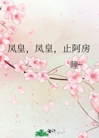 鳳皇,鳳皇,止阿漳