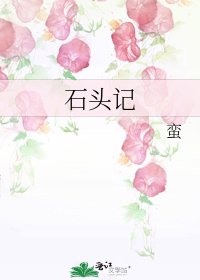 石頭記