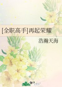 《(全职高手同人)再起荣耀》