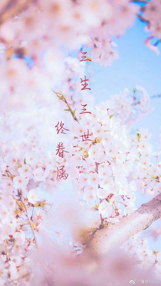 三生三世終眷屬(東華鳳九電視劇版續寫)