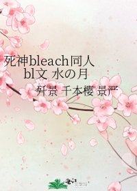 死神bleach同人bl文 水の月