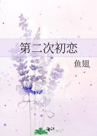 第二次初戀