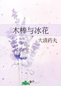 木棒與冰花