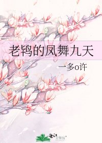 老鴇的鳳舞九天
