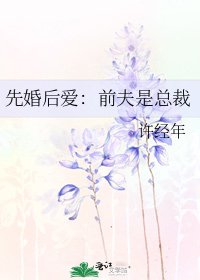 先婚後愛:前夫是總裁