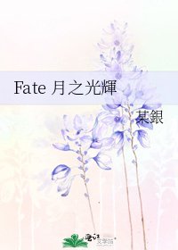 《Fate 月之光輝》
