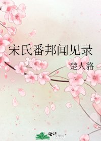 宋氏番邦聞見錄