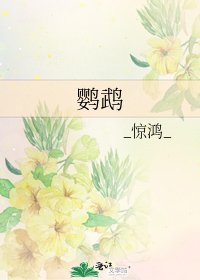 鸚鵡